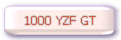 1000 thunderace GT